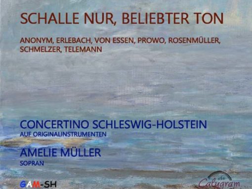 CONCERTINO SCHLESWIG-HOLSTEIN